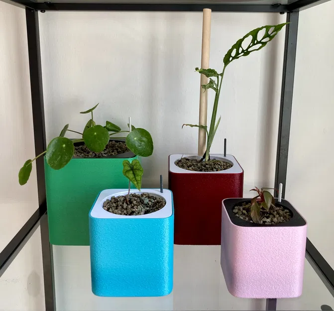 Chậu Tự Tưới Semi Hydroponic (Parametric) - Image 1