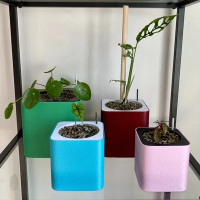 Chậu Tự Tưới Semi Hydroponic (Parametric)