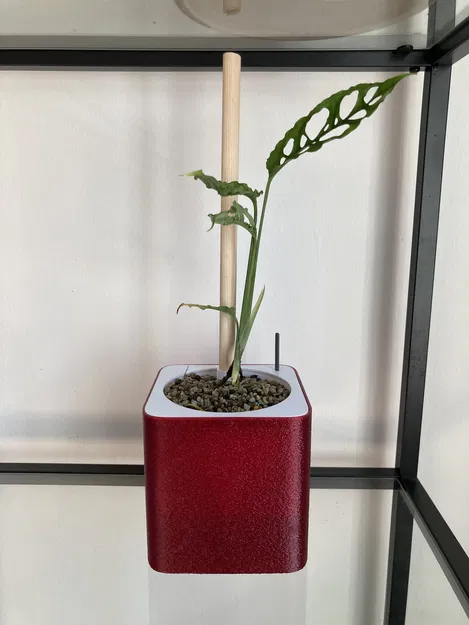 Chậu Tự Tưới Semi Hydroponic (Parametric) - Image 2