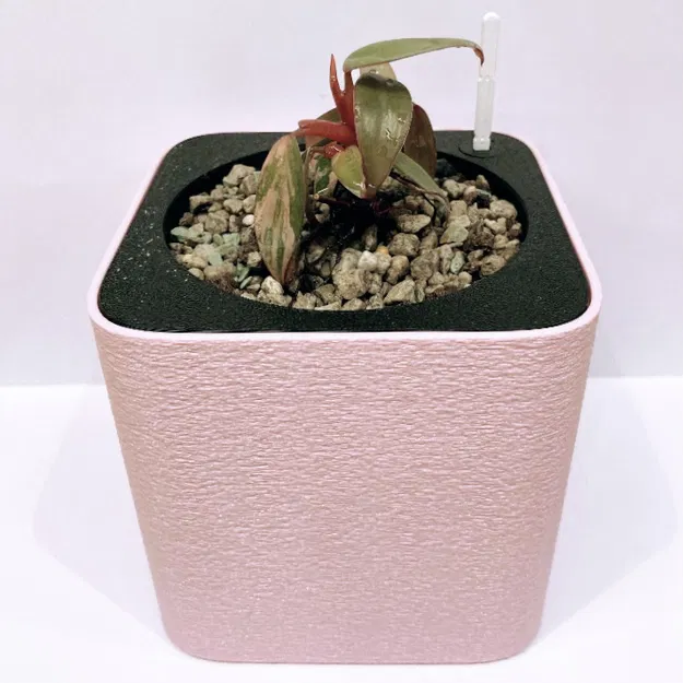 Chậu Tự Tưới Semi Hydroponic (Parametric) - Image 3