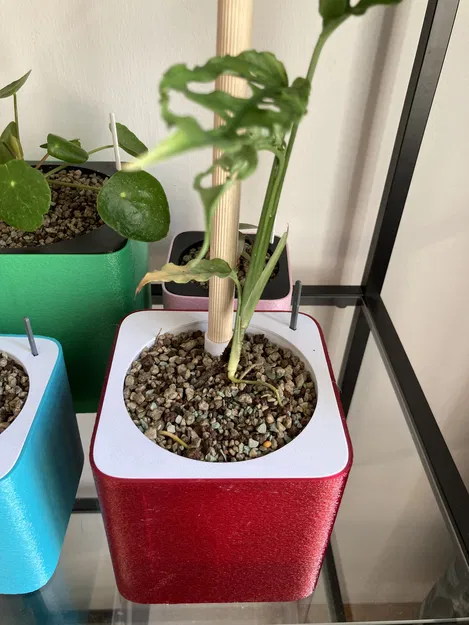 Chậu Tự Tưới Semi Hydroponic (Parametric) - Image 4