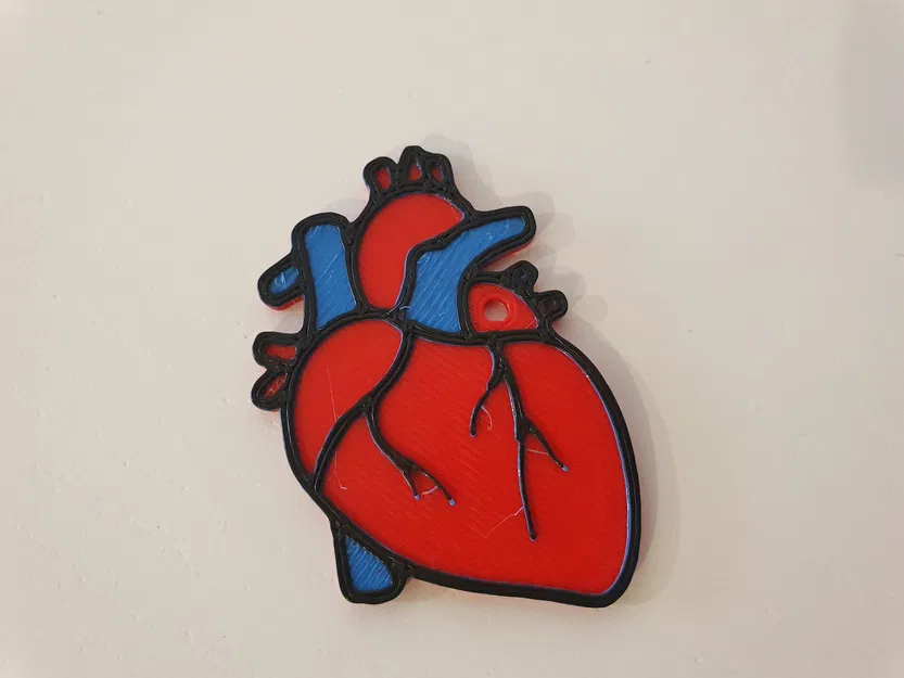 Móc khóa tim giải phẫu (Heart keychain) - Image 1
