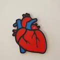 Móc khóa tim giải phẫu (Heart keychain) - Thumbnail 1