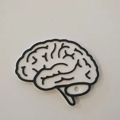 Móc khóa hình não (Brain keychain)
