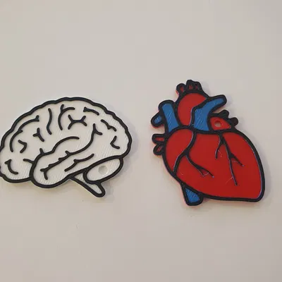 Móc khóa hình não (Brain keychain)