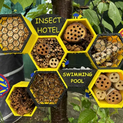 Khách sạn côn trùng dạng module (Modular Insect Hotel)