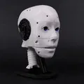 Đầu Robot EZ-inMoov (EZ-inMoov Robot Head) - Thumbnail 3