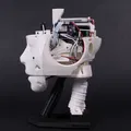 Đầu Robot EZ-inMoov (EZ-inMoov Robot Head) - Thumbnail 4