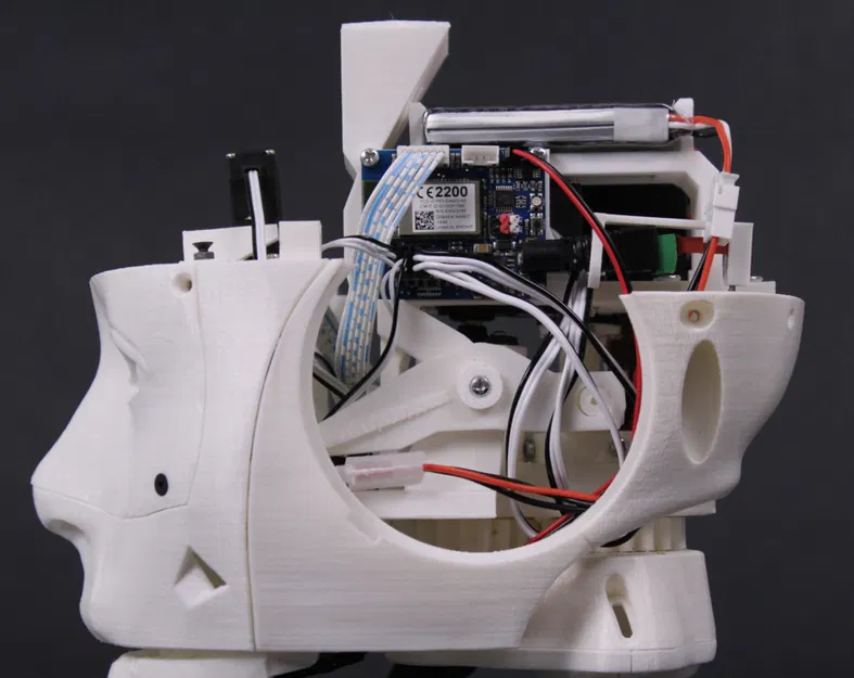 Đầu Robot EZ-inMoov (EZ-inMoov Robot Head) - Image 5
