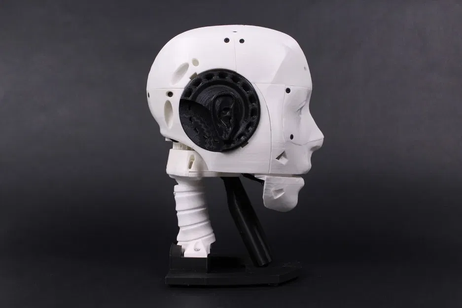 Đầu Robot EZ-inMoov (EZ-inMoov Robot Head) - Image 7