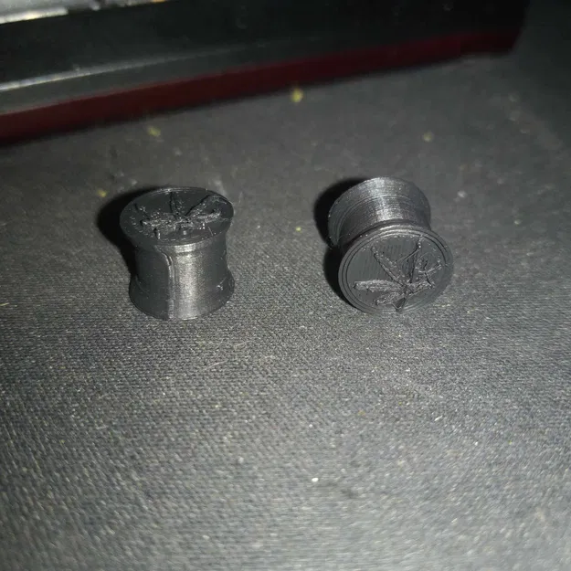 Bông Tai "Lá" 10mm (Ear Gauges) - Phong Cách 420 - Image 1