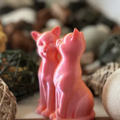 Hai Mèo Yêu Thương (Two Loving Cats)