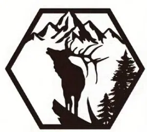 Bộ 4 Khung Trang Trí Hình Thú Rừng Độc Đáo - Image 3