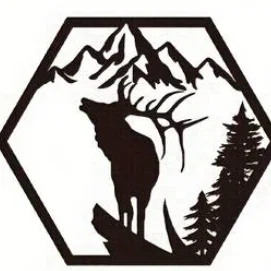 Bộ 4 Khung Trang Trí Hình Thú Rừng Độc Đáo