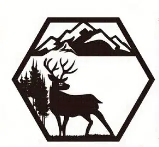 Bộ 4 Khung Trang Trí Hình Thú Rừng Độc Đáo - Image 5