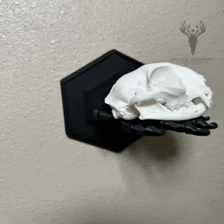 Kệ Treo Tường Hình Bàn Tay Bộ Xương Độc Đáo - Thumbnail 1