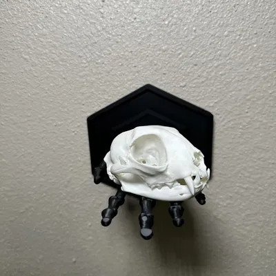 Kệ Treo Tường Hình Bàn Tay Bộ Xương Độc Đáo