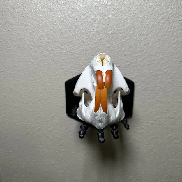 Kệ Treo Tường Hình Bàn Tay Bộ Xương Độc Đáo - Image 3