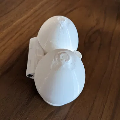 Hộp Đựng Trứng Đôi (Double Egg Carton)