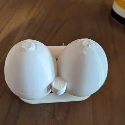 Hộp Đựng Trứng Đôi (Double Egg Carton)