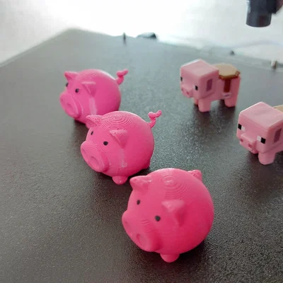 Heo Con Nhỏ Với Đuôi Heo Nhỏ