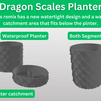 Chậu Trồng Cây Vảy Rồng – Kín Nước, Có Khay Hứng Nước Dư