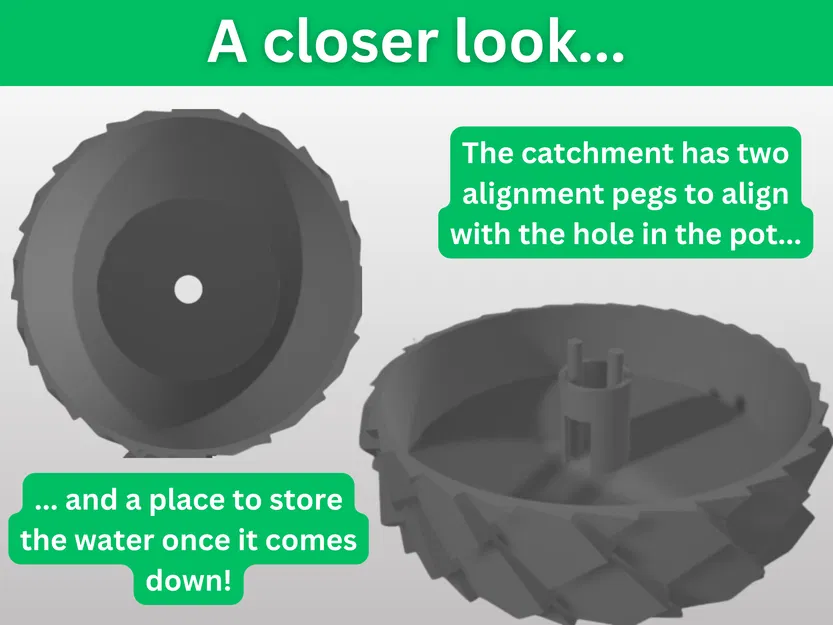 Chậu Trồng Cây Vảy Rồng – Kín Nước, Có Khay Hứng Nước Dư - Image 2