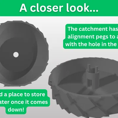 Chậu Trồng Cây Vảy Rồng – Kín Nước, Có Khay Hứng Nước Dư