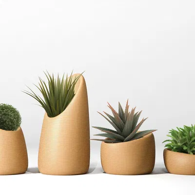 Chậu Cây 3D Độc Đáo - Trang Trí Nhà Cửa Sáng Tạo