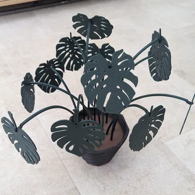 Bộ Lót Ly Monstera - Thân Cao Hơn