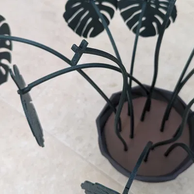 Bộ Lót Ly Monstera - Thân Cao Hơn