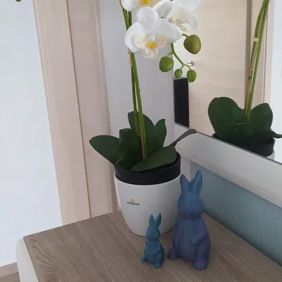 Easter Bunny 2023 – Thỏ Phục Sinh trang trí