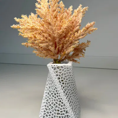 Bình hoa Voronoi Spiral