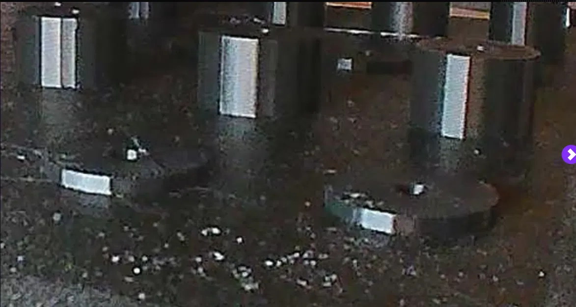 Tấm Đệm & Vòng Đệm Bảng Ghim 3D Print - Image 3