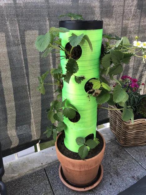 Chậu trồng dâu tây (Strawberry planter) xếp chồng - Image 1