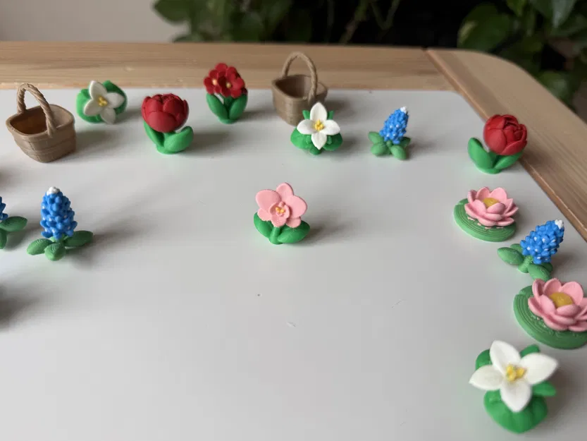 Mô hình hoa Lan thực tế - Image 1