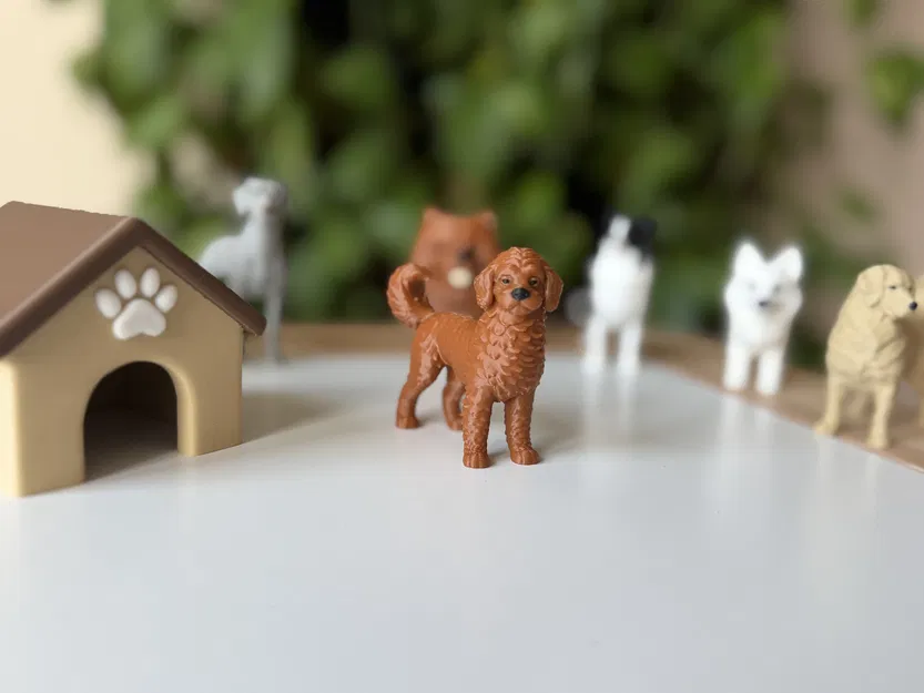 Mô Hình 3D Chó Labradoodle Realistic - Image 1