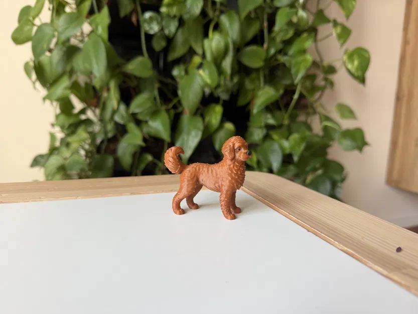 Mô Hình 3D Chó Labradoodle Realistic - Image 2