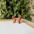Mô Hình 3D Chó Labradoodle Realistic - Thumbnail 2