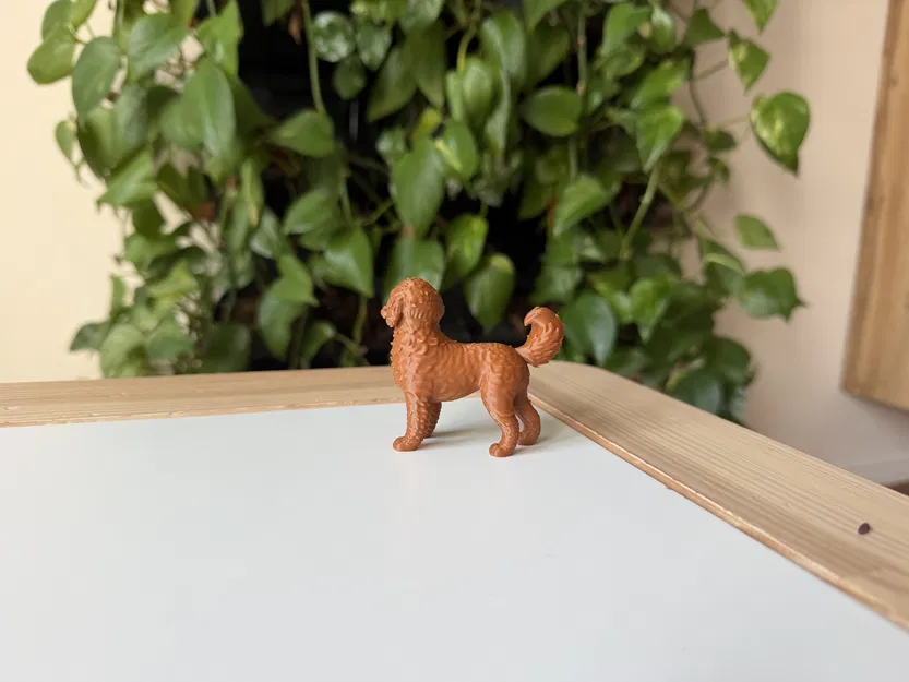 Mô Hình 3D Chó Labradoodle Realistic - Image 3