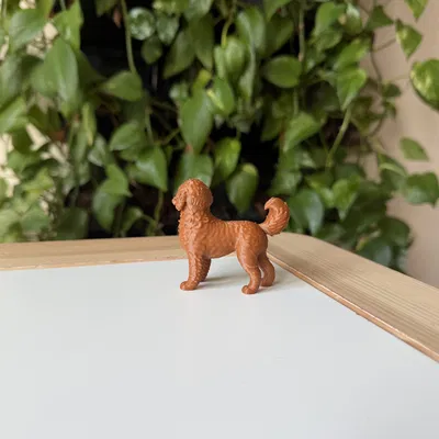Mô Hình 3D Chó Labradoodle Realistic