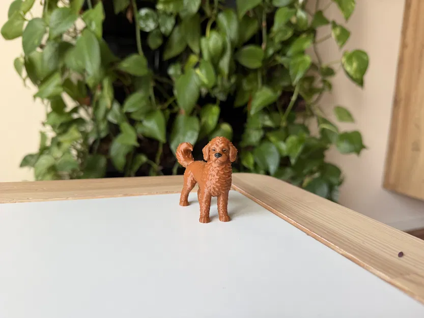 Mô Hình 3D Chó Labradoodle Realistic - Image 4