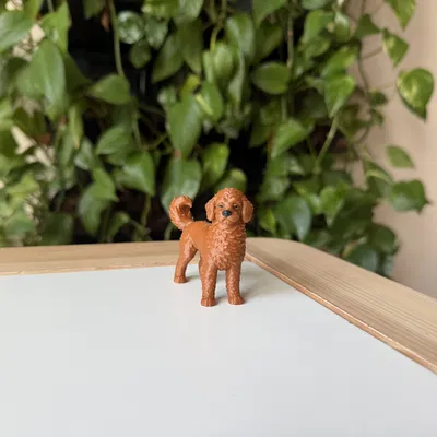 Mô Hình 3D Chó Labradoodle Realistic
