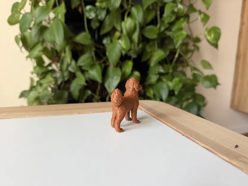 Mô Hình 3D Chó Labradoodle Realistic - Image 5