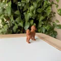 Mô Hình 3D Chó Labradoodle Realistic - Thumbnail 5