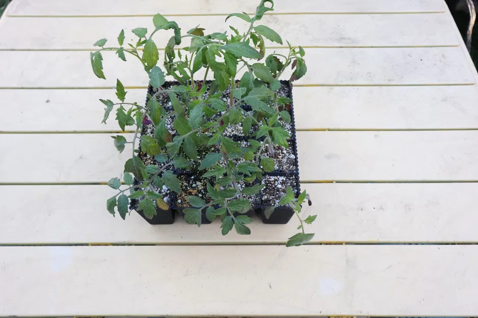 Khay ươm hạt giống Parametric có thể tách rời (F3D + Mã nguồn mở) - Image 1