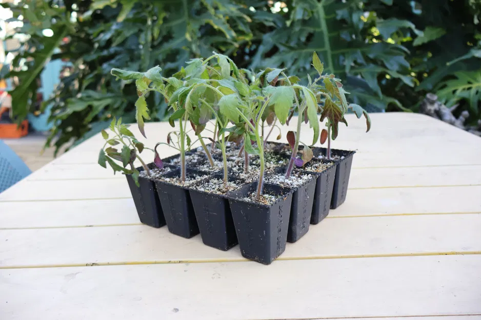 Khay ươm hạt giống Parametric có thể tách rời (F3D + Mã nguồn mở) - Image 2