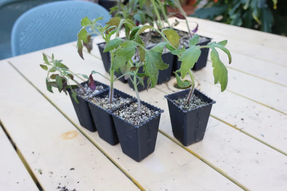 Khay ươm hạt giống Parametric có thể tách rời (F3D + Mã nguồn mở) - Image 3