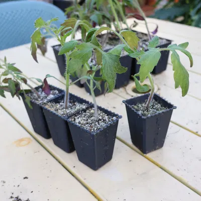 Khay ươm hạt giống Parametric có thể tách rời (F3D + Mã nguồn mở)