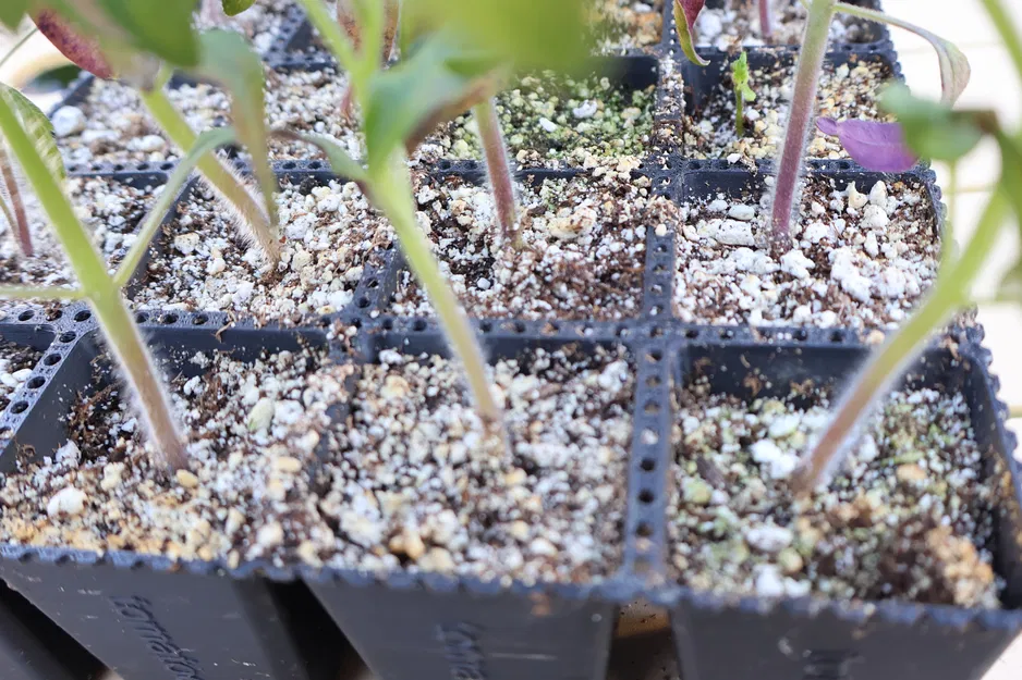 Khay ươm hạt giống Parametric có thể tách rời (F3D + Mã nguồn mở) - Image 5